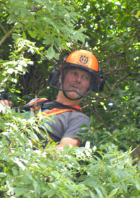 tree surgeon